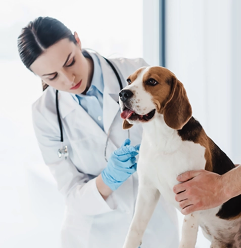 Mavişehir Veteriner