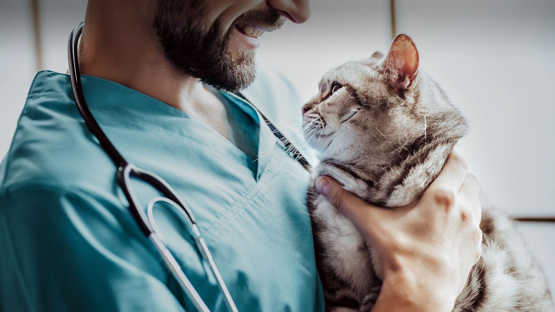 Mavişehir Veteriner